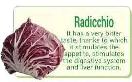 radicchio