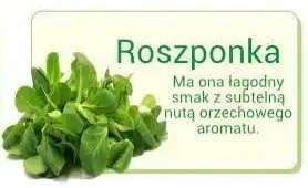 roszponka