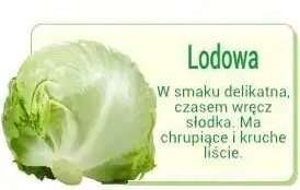 salata lodowa