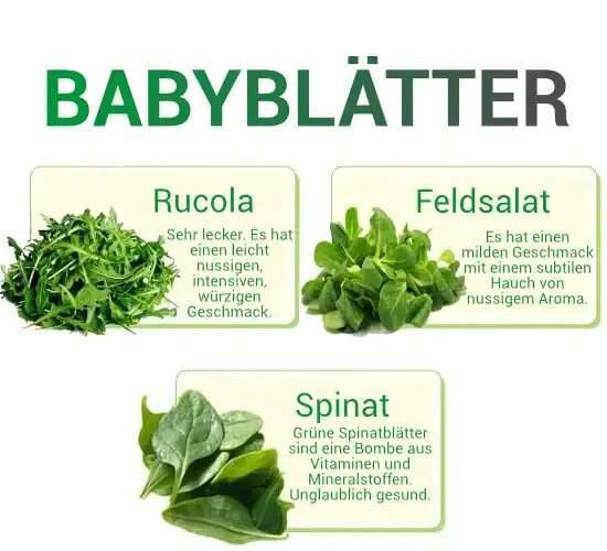 baby leaf de